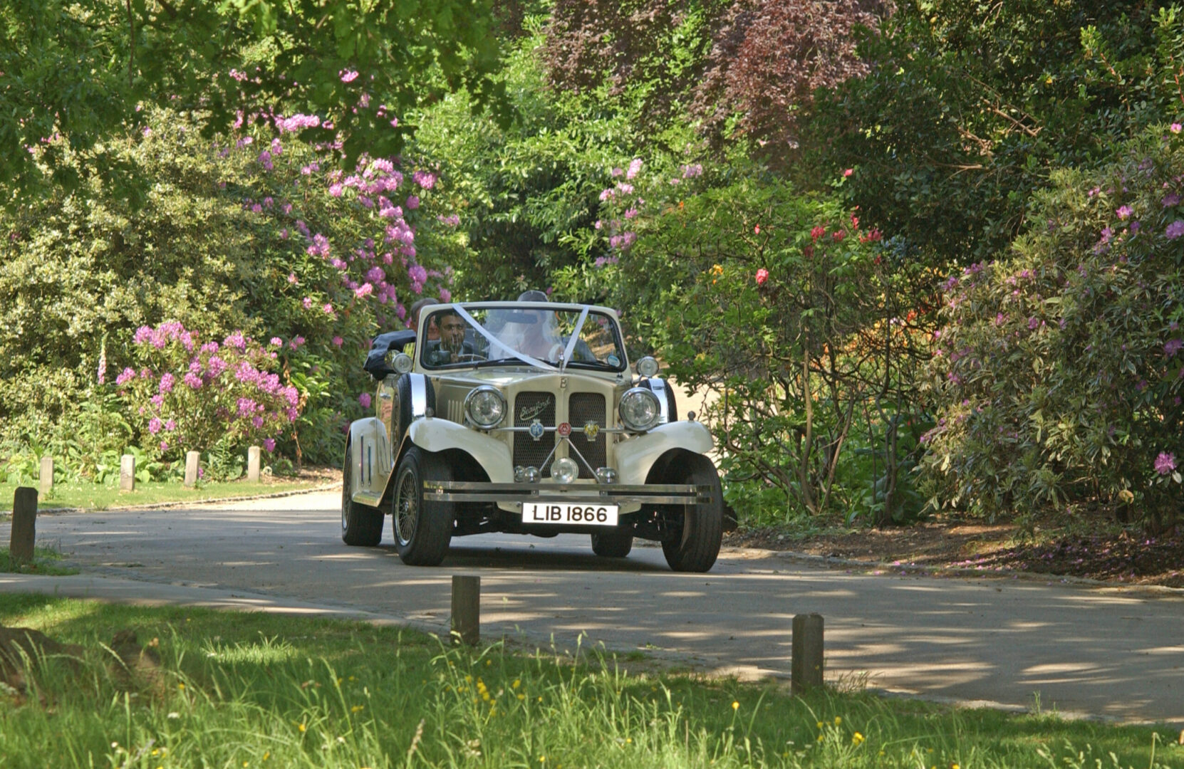 Photography by Wedding Cars at Pembroke Lodge